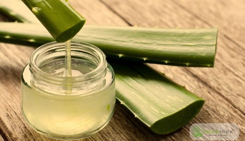 Beneficios del Aloe Vera para el Cabello: ¡Puro Oro Verde! 🌿💚